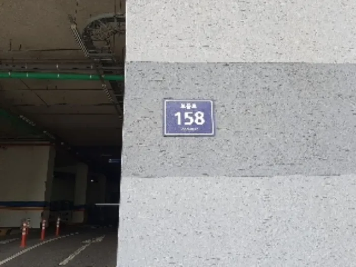 사진 3