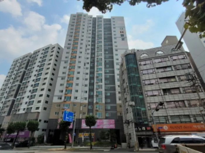 사진 2
