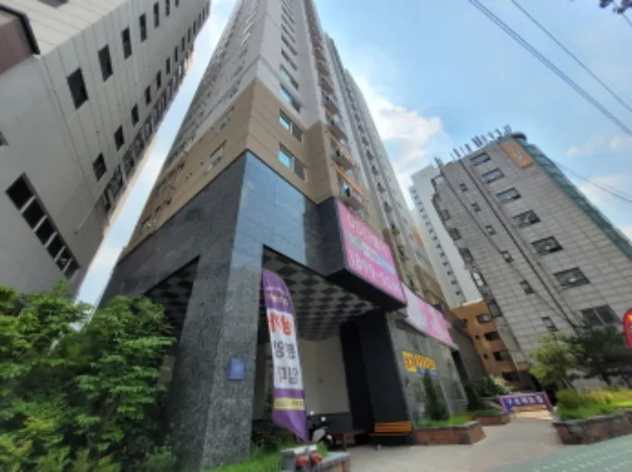 사진 3