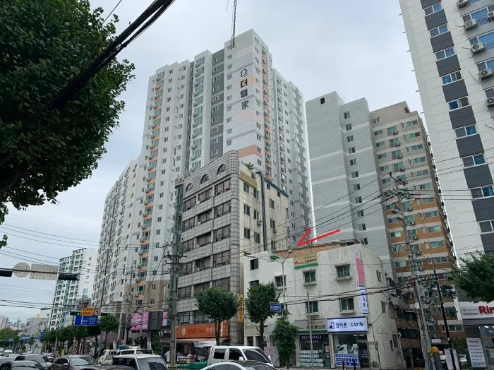 사진 6