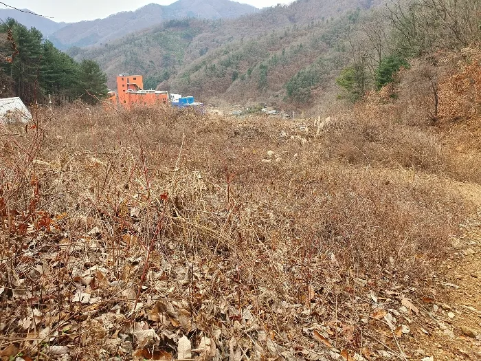 사진 10