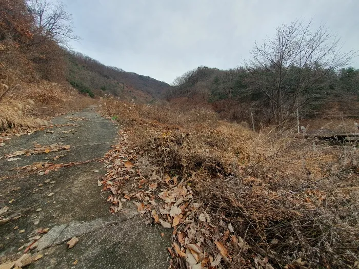 사진 11