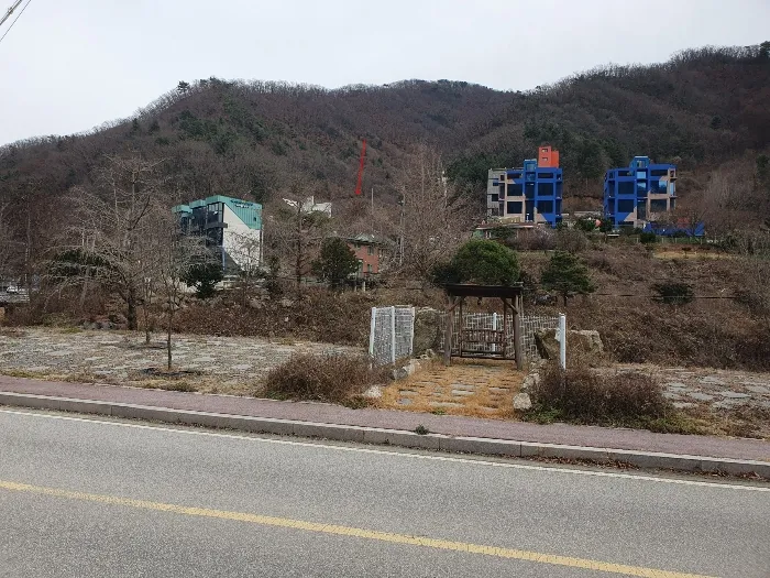 사진 12