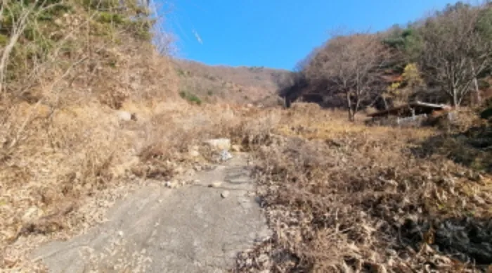 사진 3