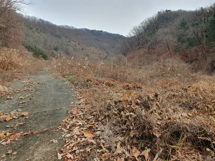 사진 7