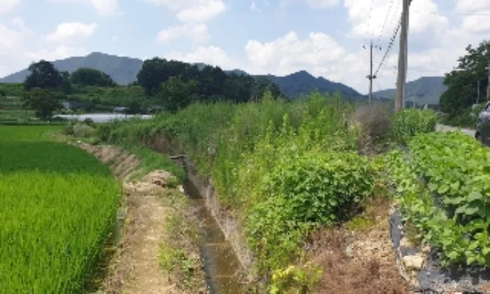 충청북도 음성군 원남면 상노리 301-1