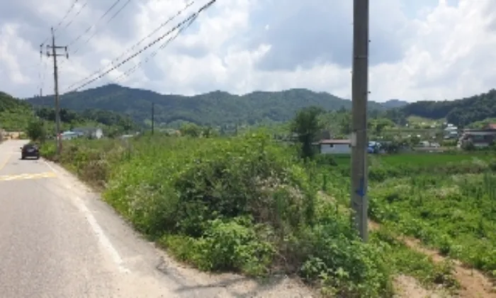 사진 2