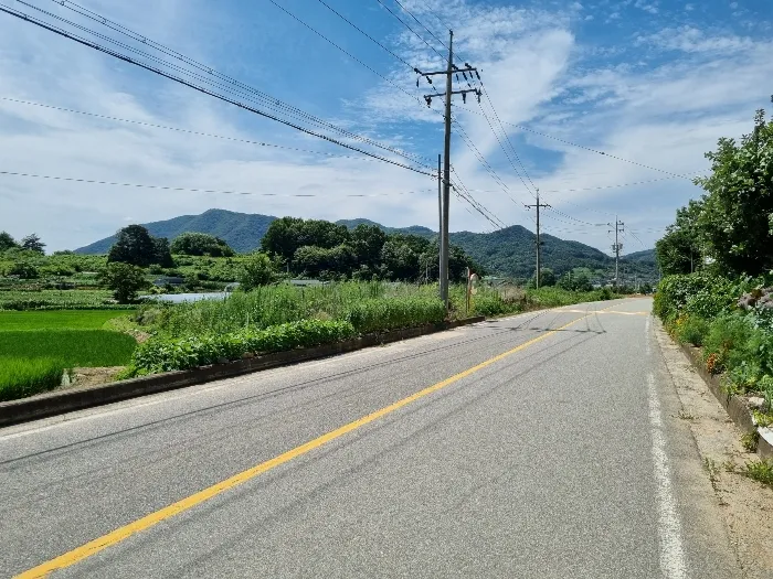 사진 5