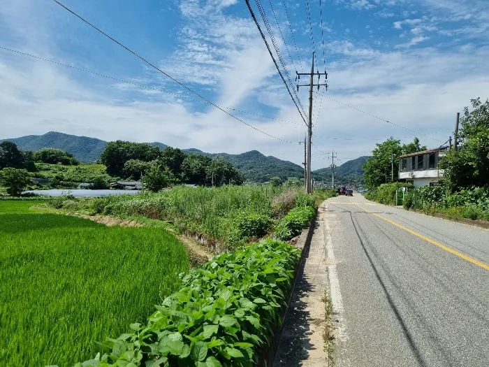 사진 6