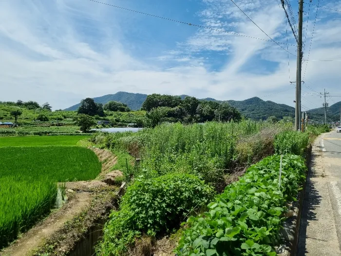 사진 7