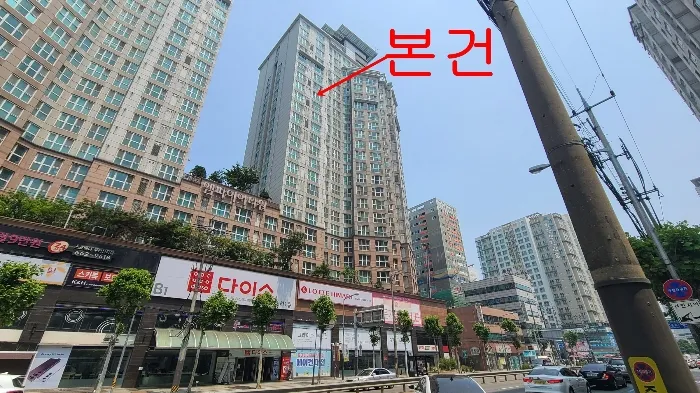 사진 5