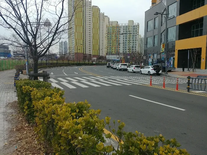 사진 5