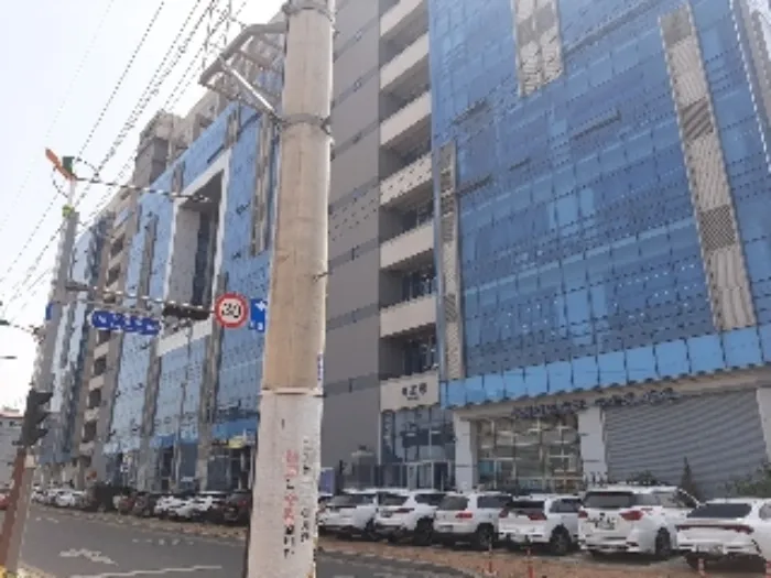 사진 3
