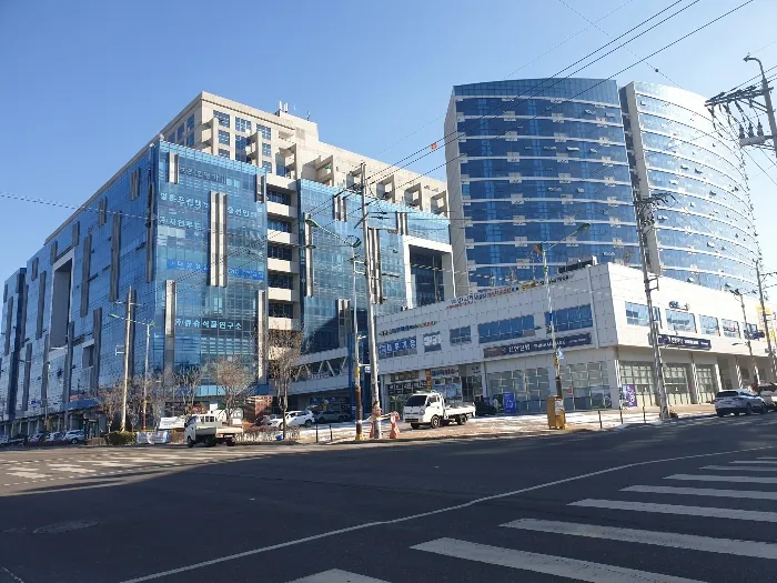 사진 5