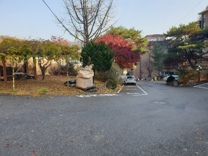 사진 3