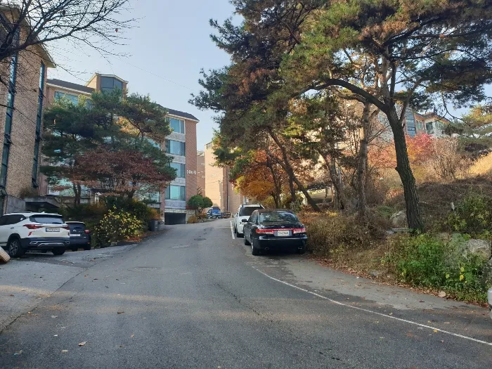사진 5