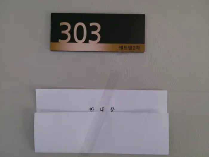 사진 5