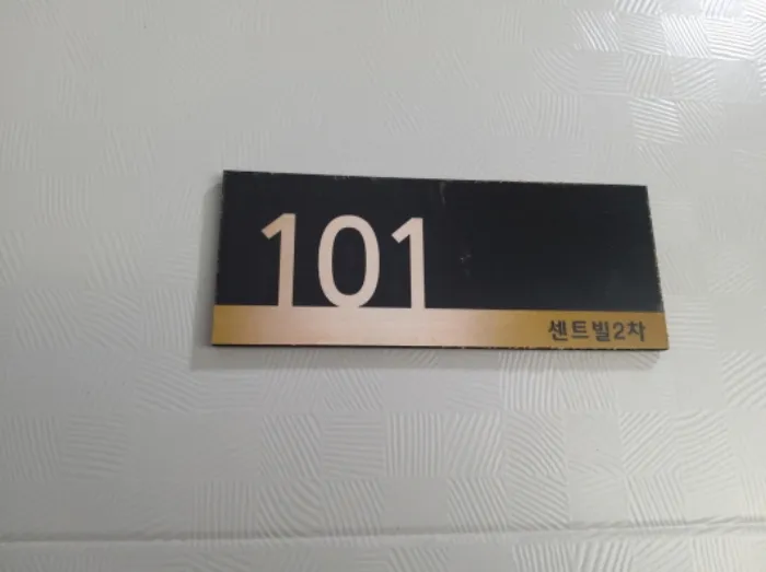 사진 8