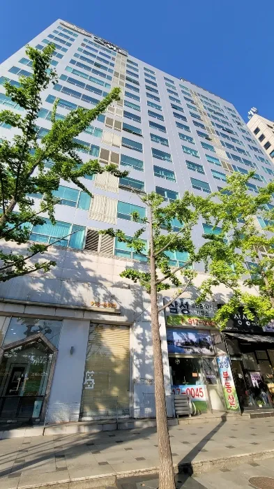 사진 6