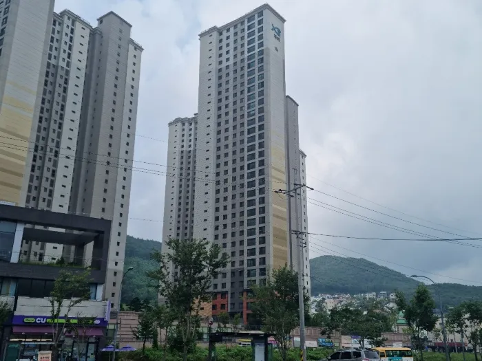사진 6