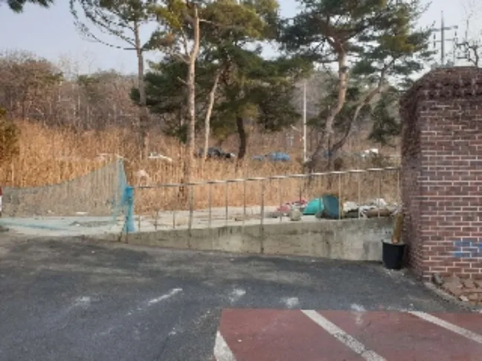 사진 2