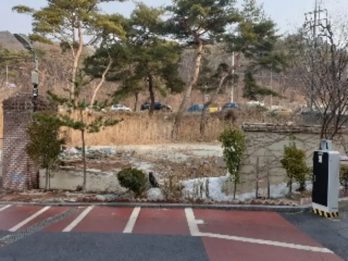 사진 3