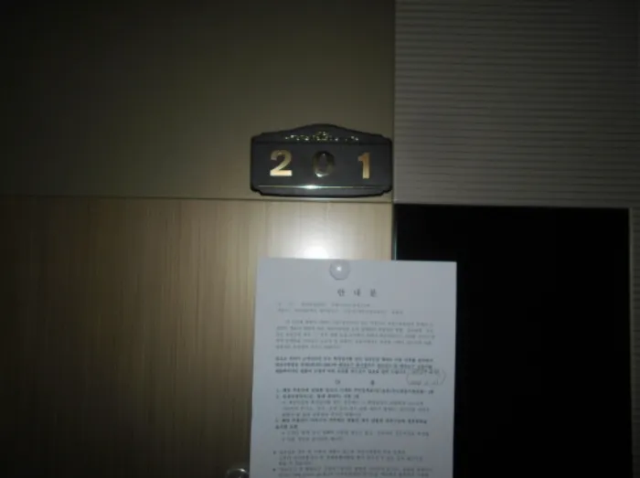 사진 11