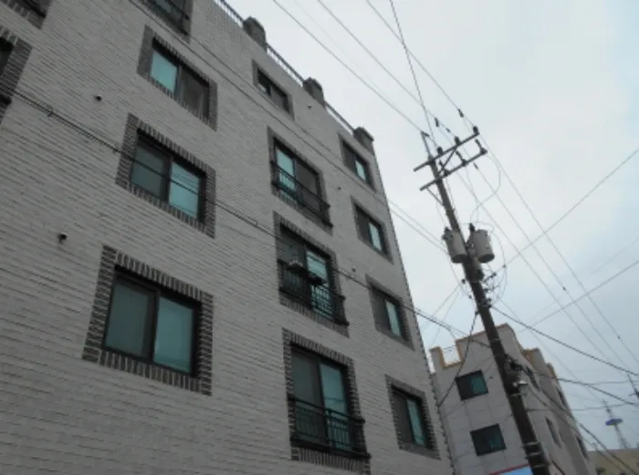 사진 3