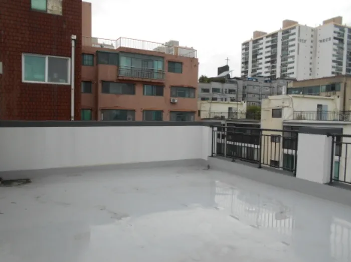 사진 24