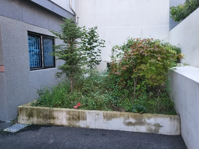 사진 34
