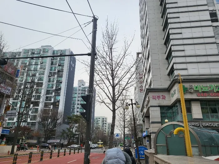 사진 6