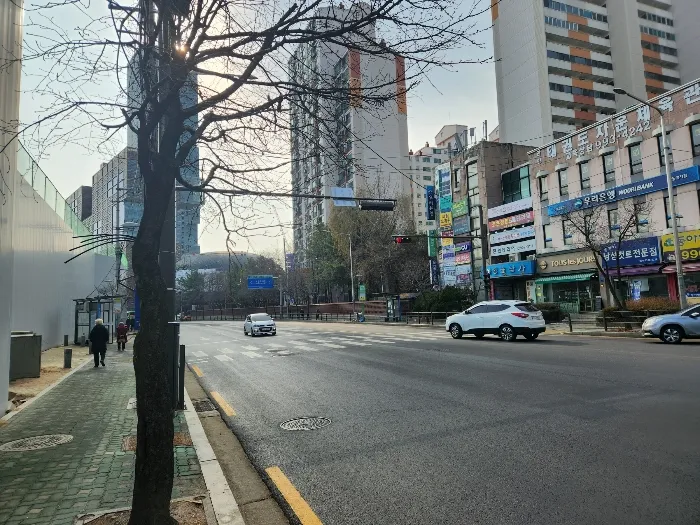 사진 10