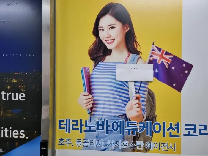 사진 3
