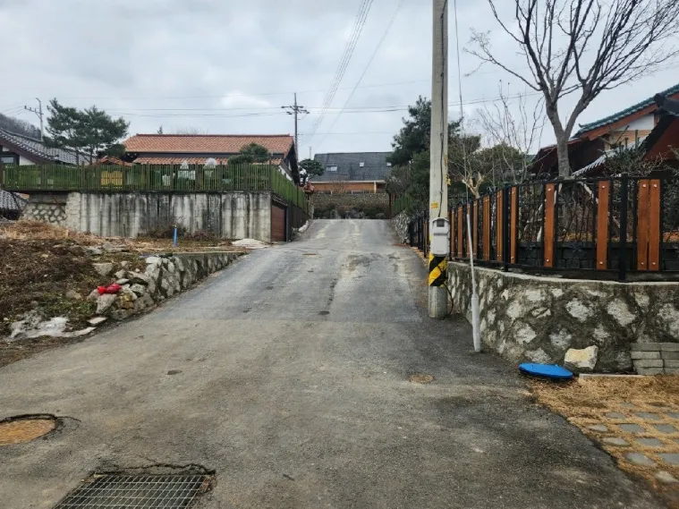 사진 5