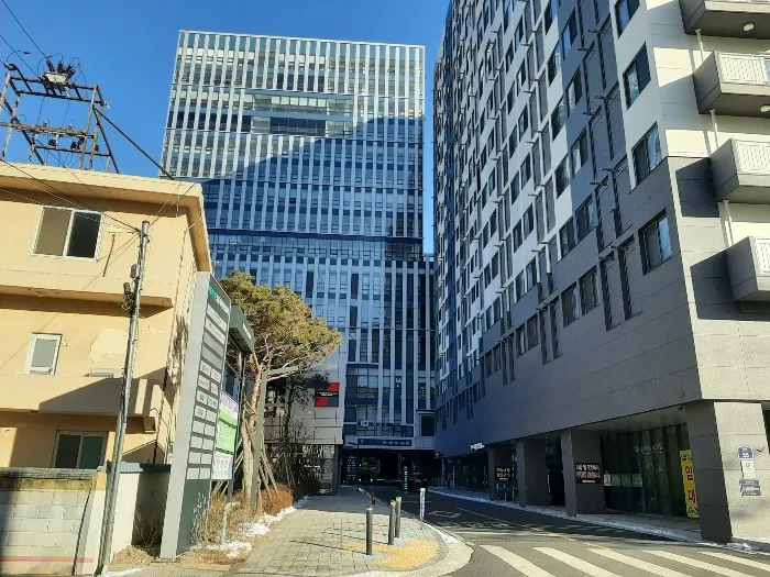 사진 10