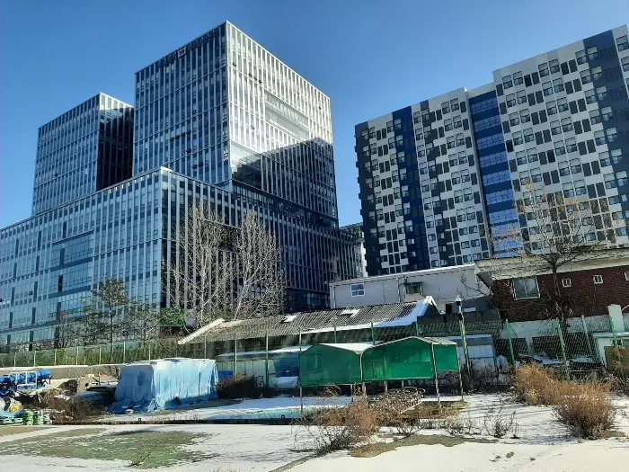 사진 7