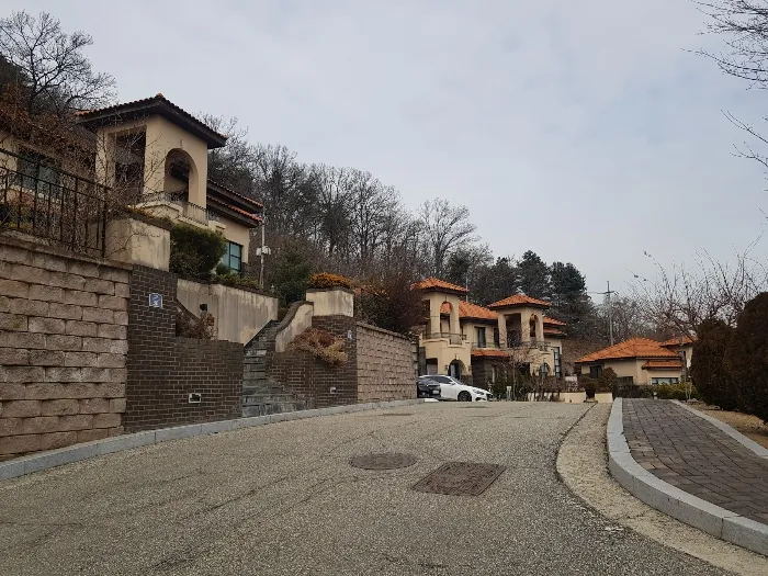 사진 12