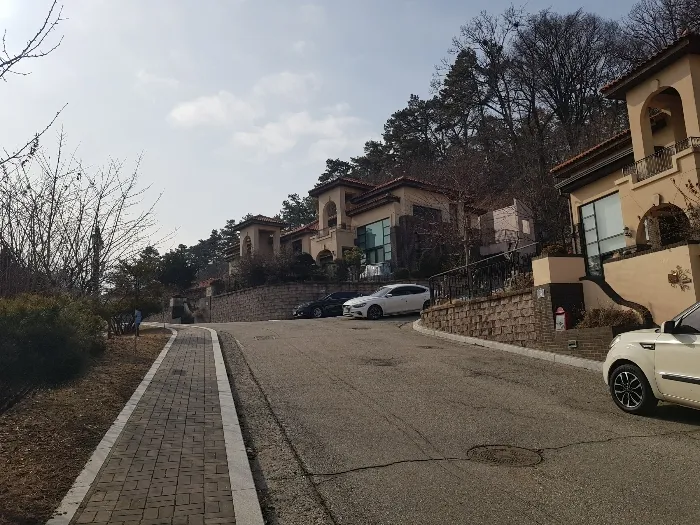 사진 7