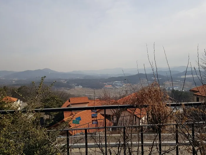사진 9