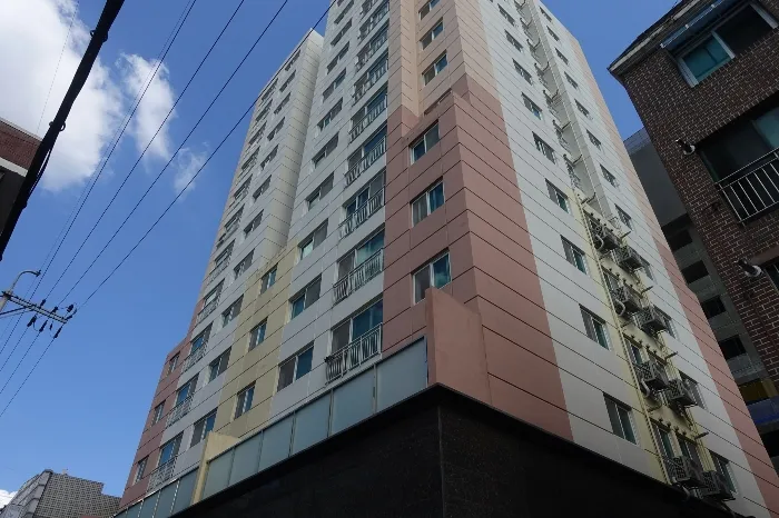 사진 10