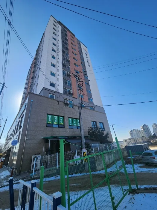 사진 4