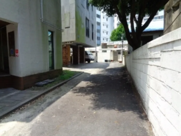 사진 11