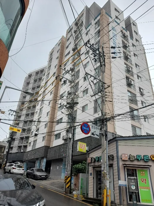 사진 3