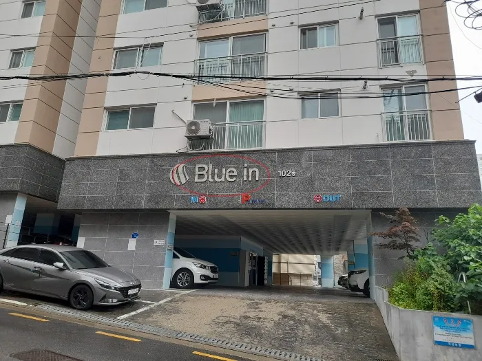 사진 5