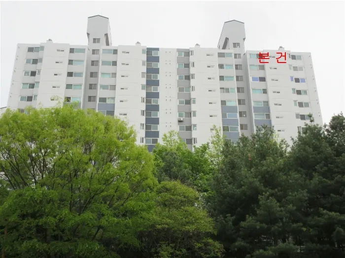 사진 6