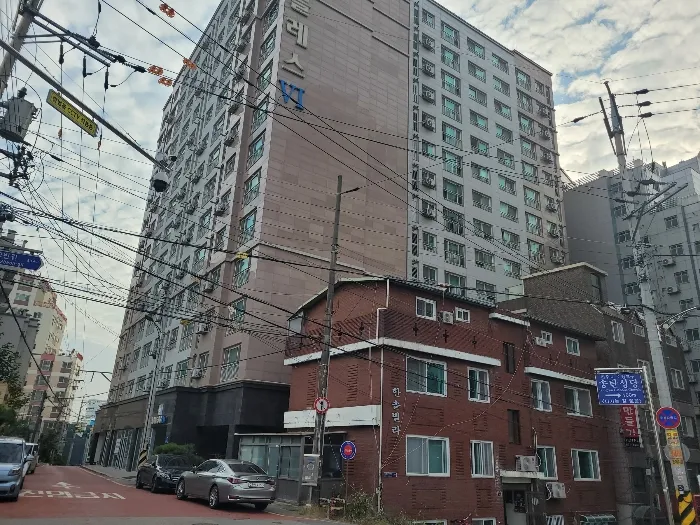 사진 3