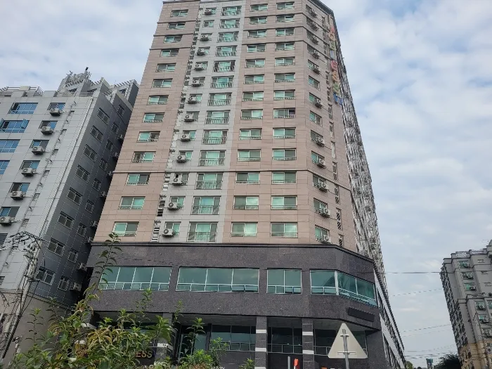 사진 5