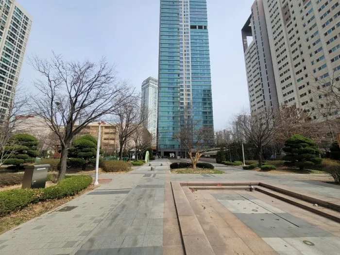 사진 5