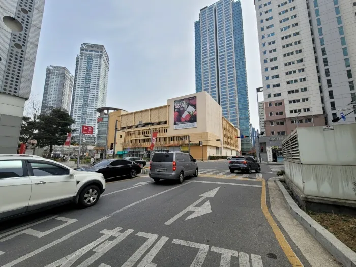 사진 8