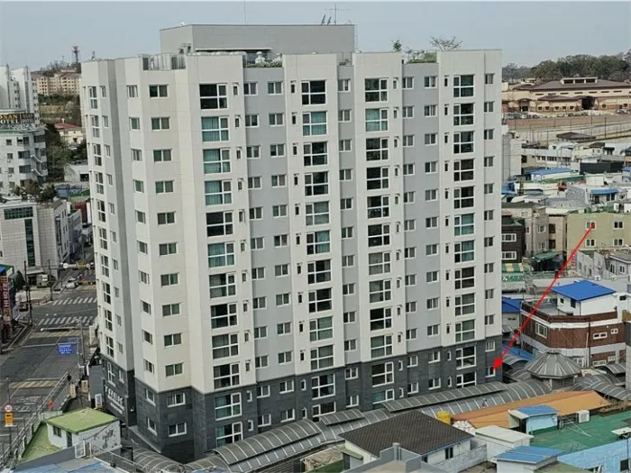 사진 3